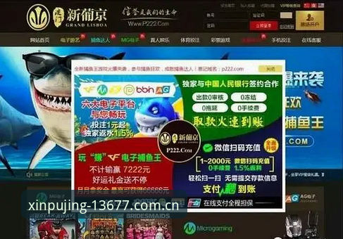 新浦京13677游戏中心攻略 新浦京平台游戏中心完整使用指南:从入门到精通
