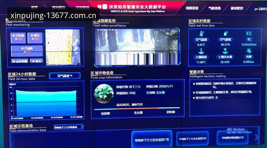 新浦京13677使用教程 传统娱乐平台vs新浦京13677:智能化游戏体验的全面对比